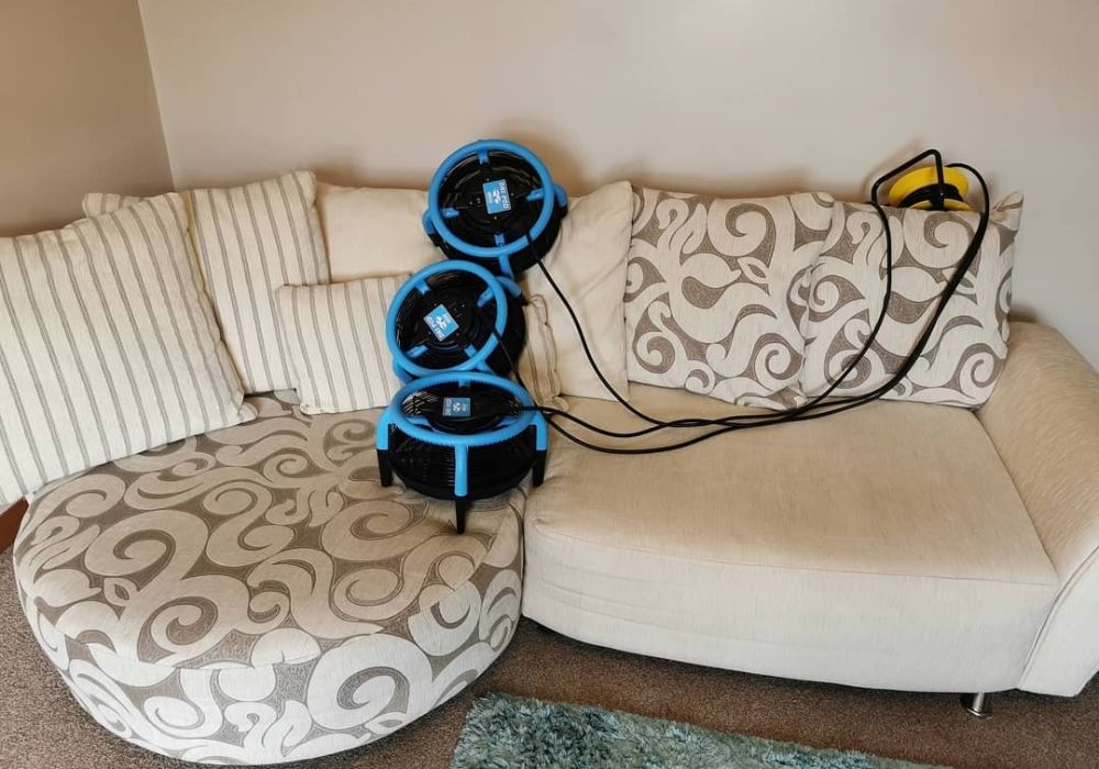 Carpet and Upholstery Cleaning in Lisburn Northern Ireland  