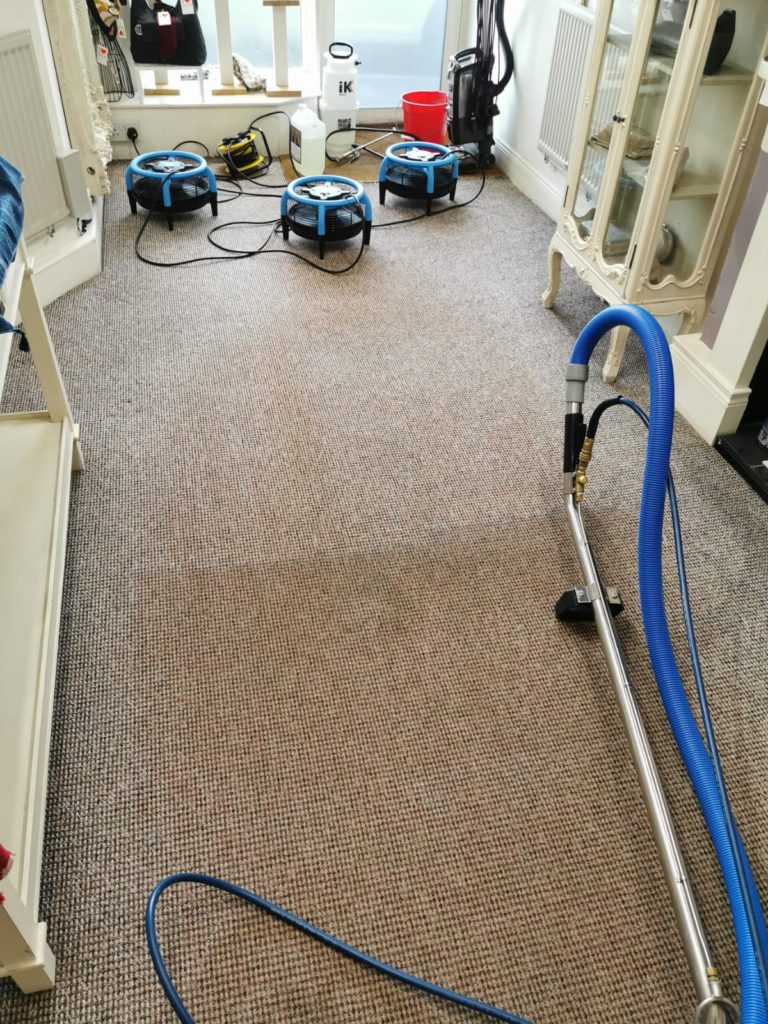 Mourne Carpet Care - Your local Belfast carpet cleaner