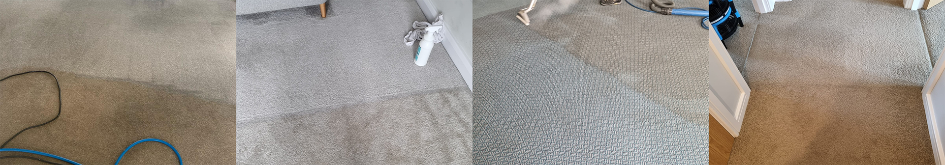 Best Carpet Cleaners in Belfast