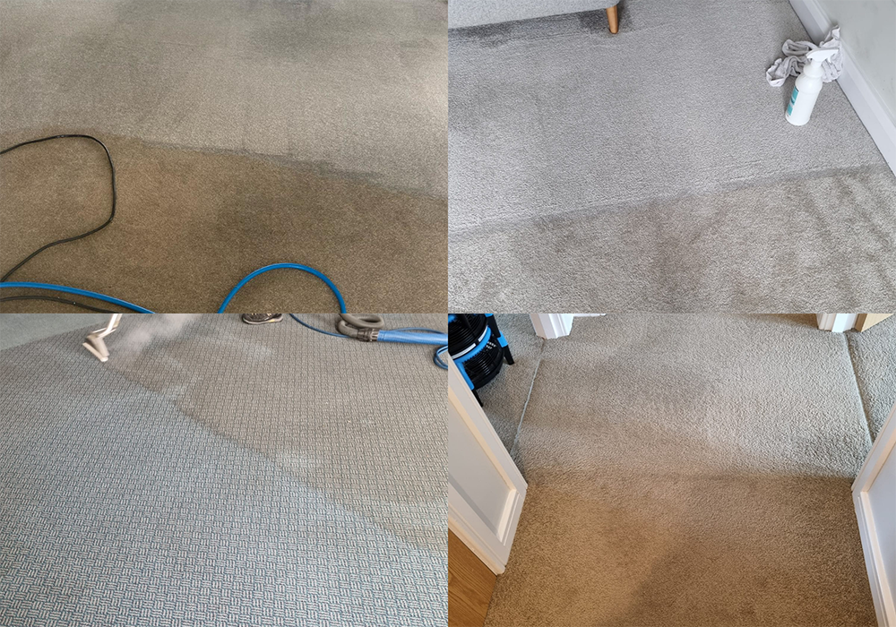 Best Carpet Cleaners in Belfast