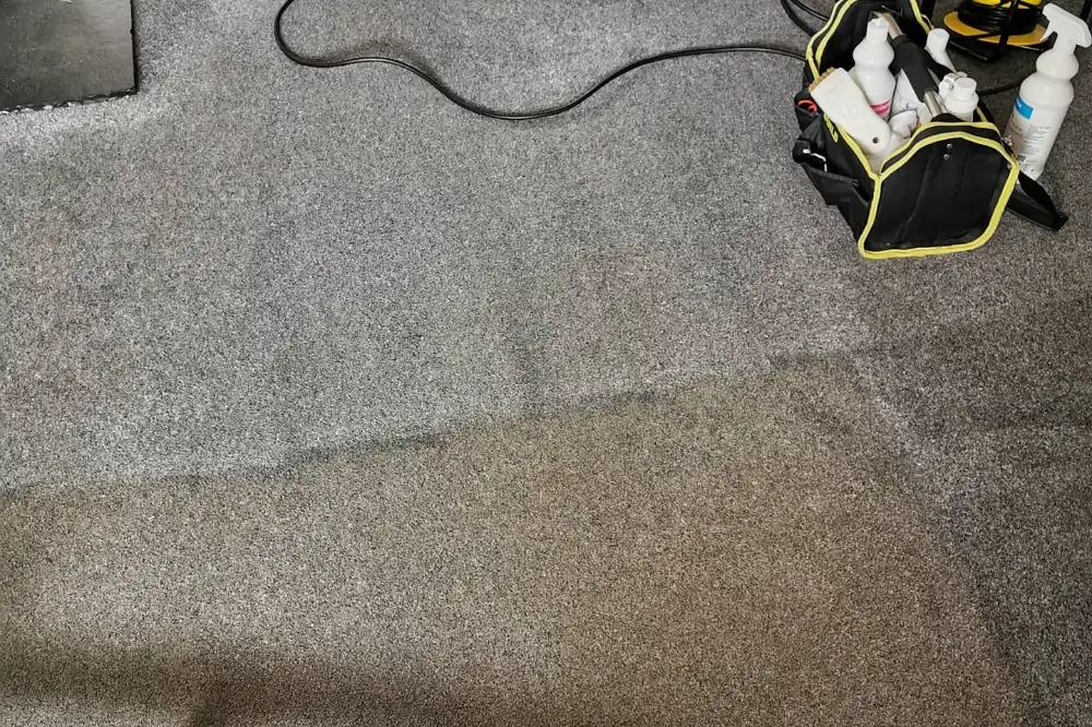 Before And After Carpet Cleaning