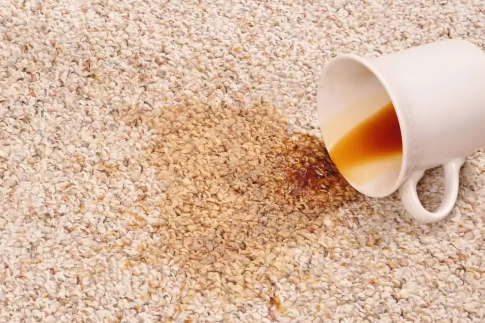 Coffee Stain On a Carpet