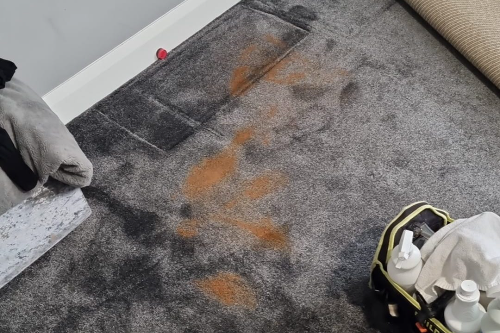 How To Get Rid Of Carpet Stains