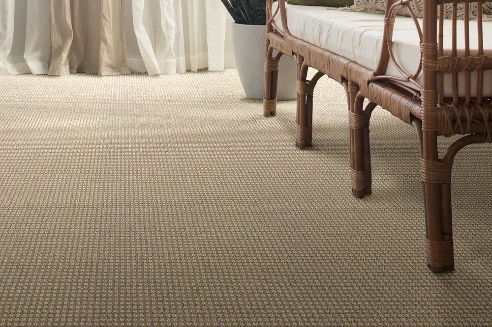 Maintaining Nylon Carpets